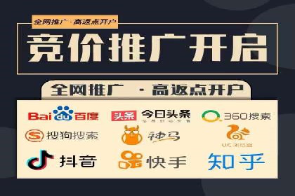 行业领先的SEM竞价广告投放案例